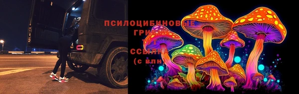 ALPHA-PVP Белокуриха