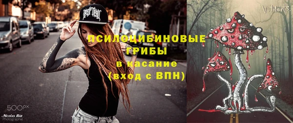 apvp Богородицк