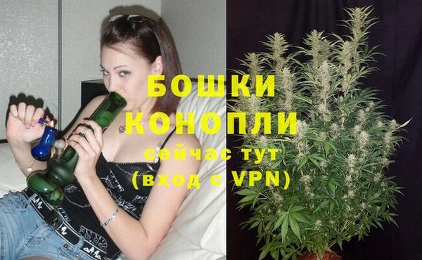 2c-b Белоозёрский